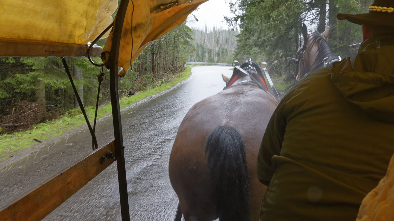 20160513-110454••Zakopane•Lesser Poland Voivodeship•Poland